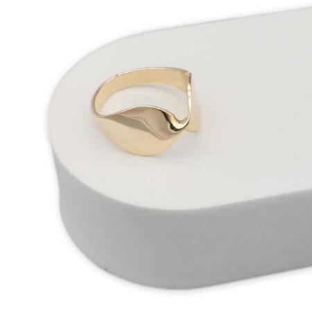 Anillo