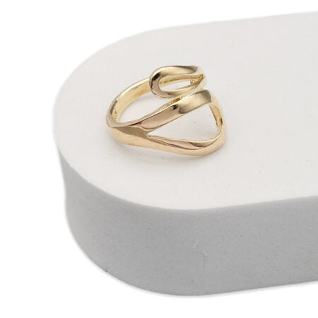 Anillo